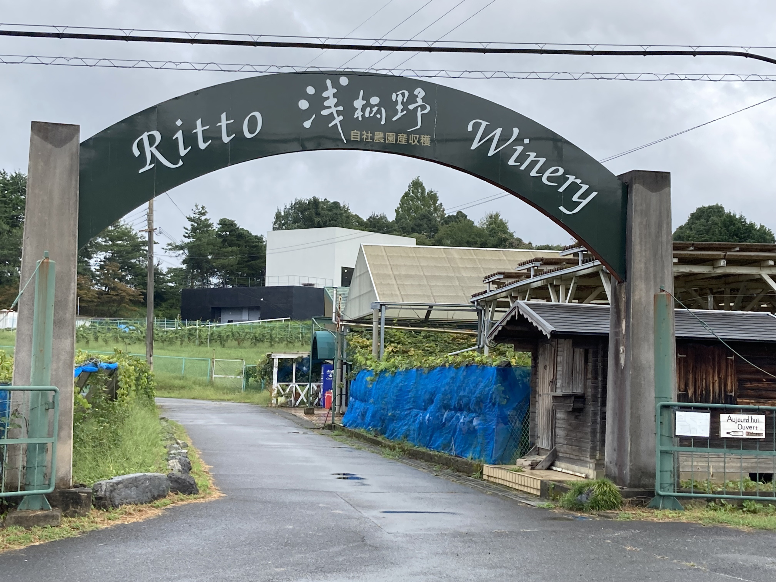 ritto_winery.jpg