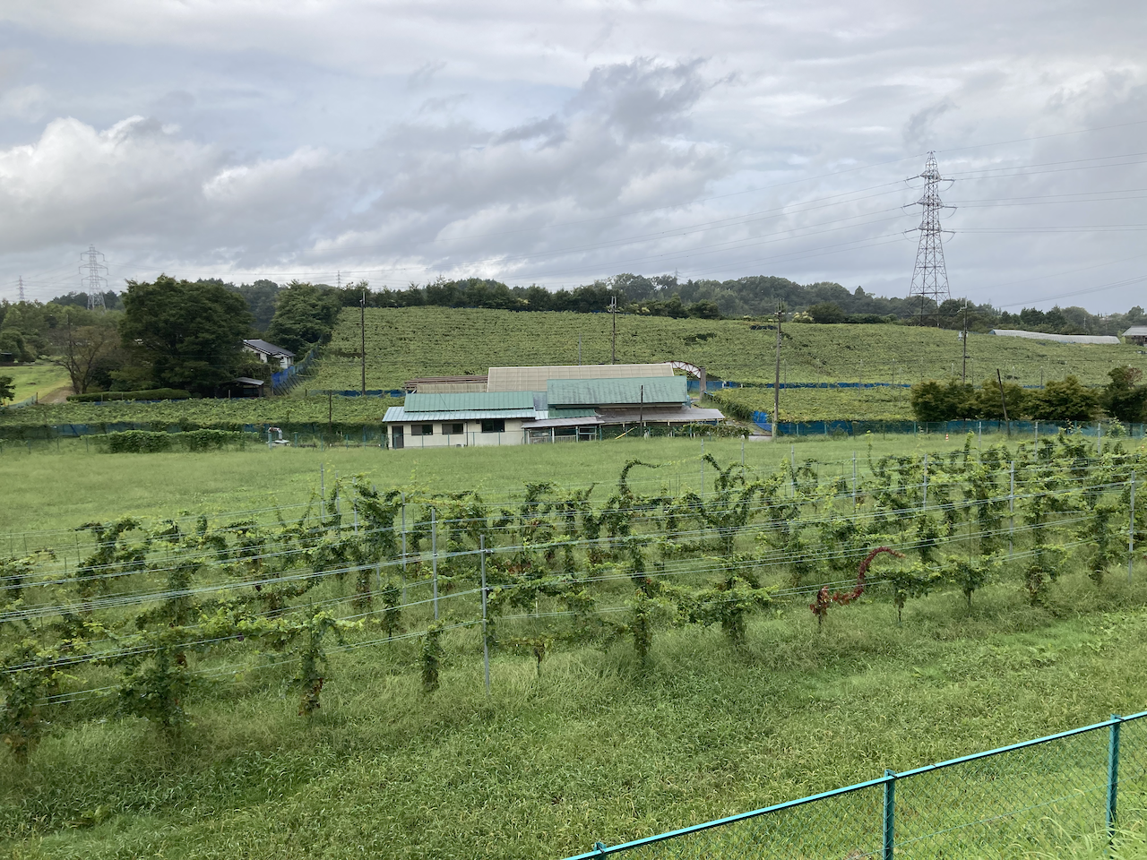ritto__winery03.png